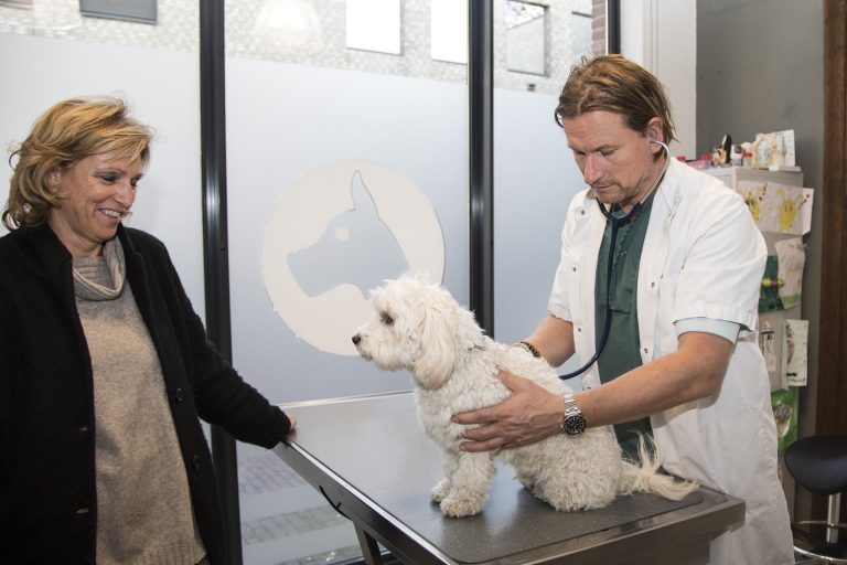 Dierenarts Mark in de spreekkamer met een eigenaar.